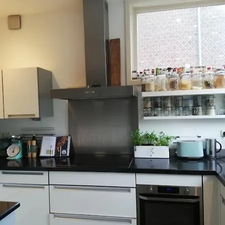 Family House With 2 Cats For Minimum 10 Nights Apartment Rotterdam