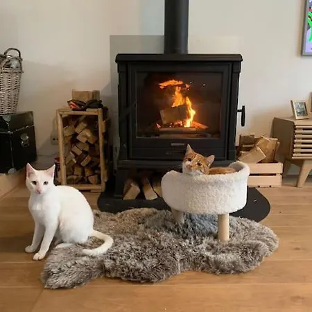 Apartment Family House With 2 Cats For Minimum 10 Nights *