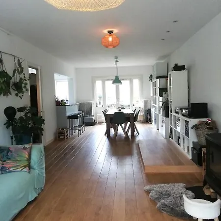 Apartment Family House With 2 Cats For Minimum 10 Nights