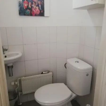 Family House With 2 Cats For Minimum 10 Nights Apartment Rotterdam
