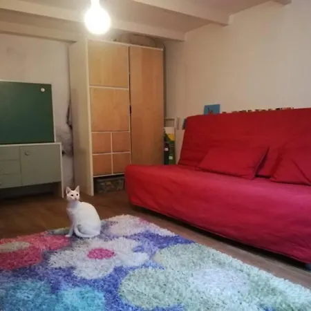 Family House With 2 Cats For Minimum 10 Nights