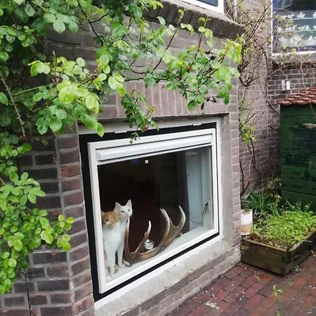 Family House With 2 Cats For Minimum 10 Nights Apartment Rotterdam
