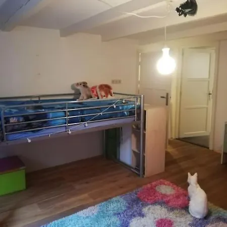 Family House With 2 Cats For Minimum 10 Nights Apartment
