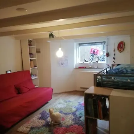 Family House With 2 Cats For Minimum 10 Nights *